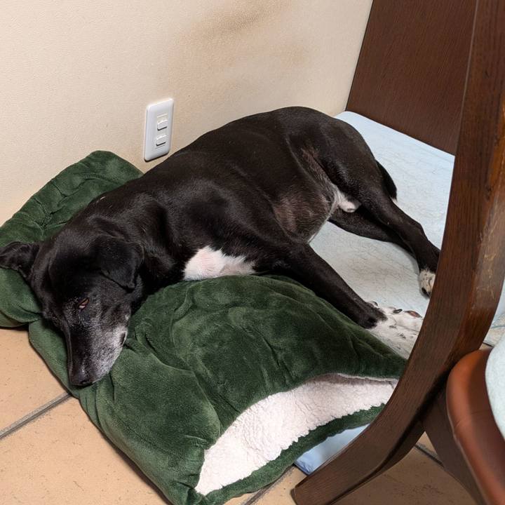 032ad0b9 56e0 43c2 933a 0c1114d0b645 1757289976454