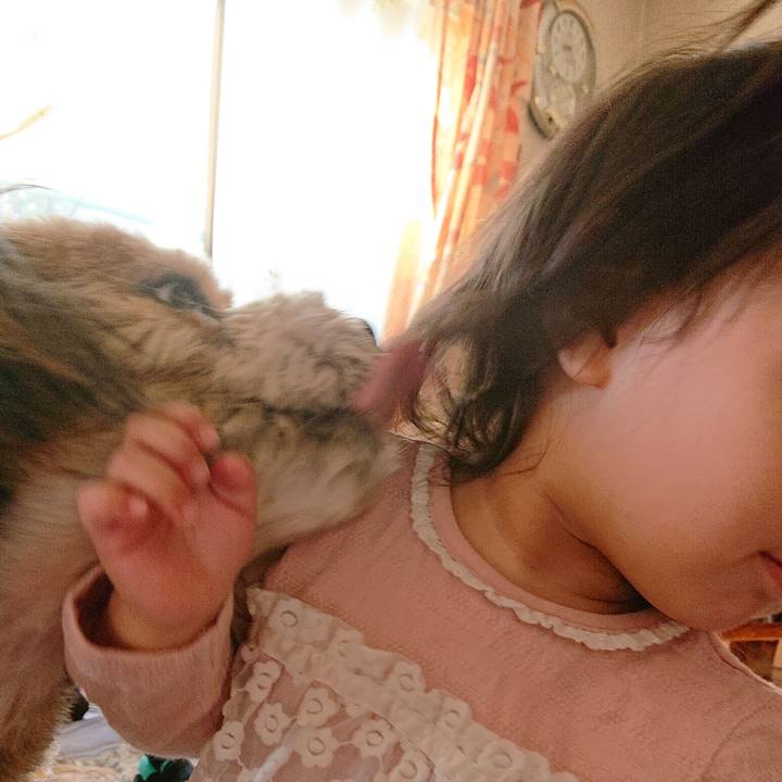 032b45a5 30d4 4848 bbc3 07db3096418f 1586828292676