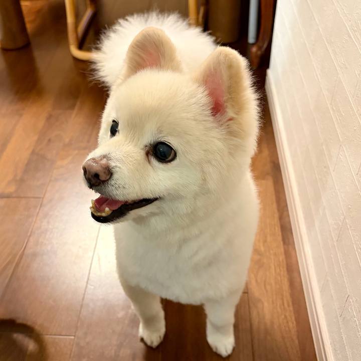 032b90fa 4870 49f3 9ae2 86dfed342b2a 1775012410338