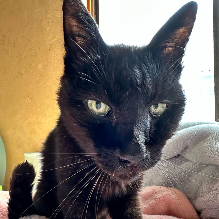 032b9d48 2dea 484f b118 6e47d36780f5 1713062885983