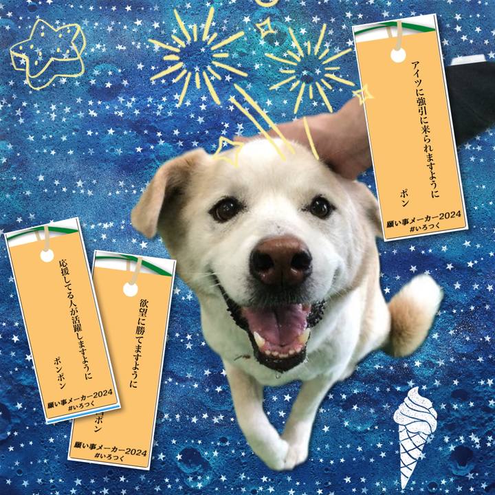 032bd224 abb3 4d05 9f82 0ee6fae9650b 1720342420318