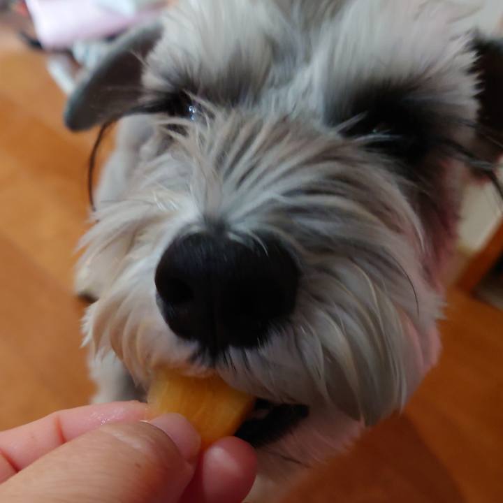 032c27bf 7388 4c35 b596 febfe7879063 1766790665008