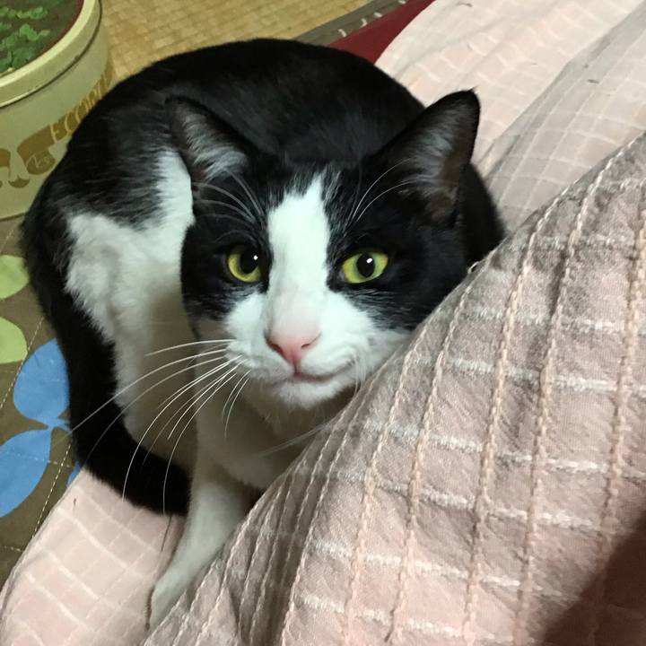 032c55df 043c 4fc5 9ae5 811d4aeea7e3 1676982438377