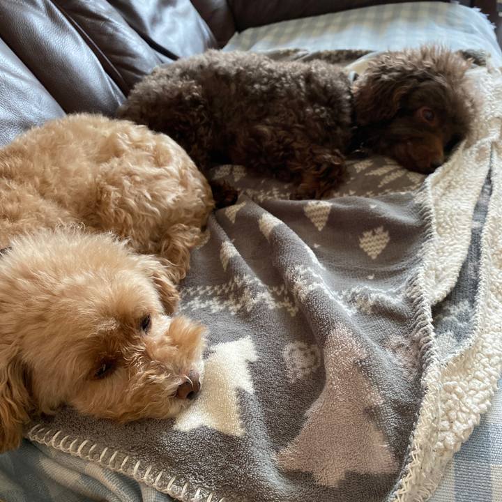 032c7a56 9f18 4cac 8b23 ec96f3ee1e99 1645008041911