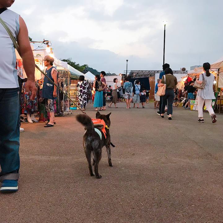 032c800d 16df 447d 9603 298e9a5e9798 1566046206046