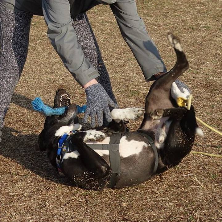 032cc068 38f2 4645 8a38 f09f80381c64 1646960578626