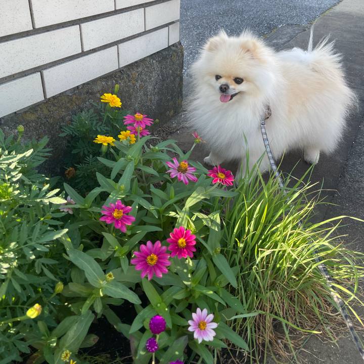 032ce5b2 ae88 4d6c 8455 fce28b282edb 1627171375830