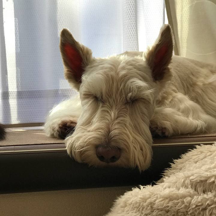 032ce960 8d81 4584 a323 1dcd1f0c3098 1515909240714