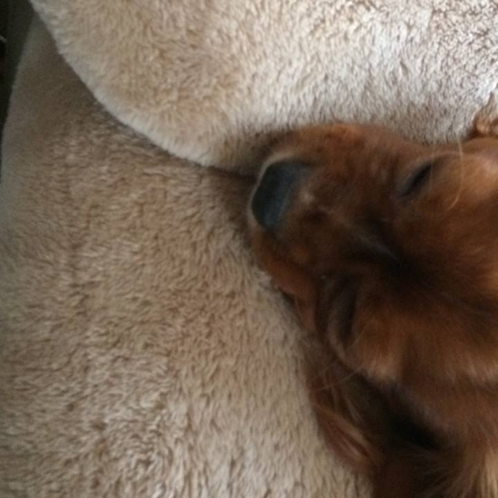 032cf962 acc2 4a3e a929 a800949f77c1 1511682131400