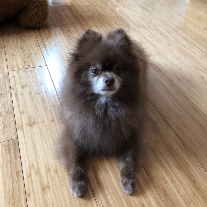 032d5038 6a6c 46d2 b4a9 09d37f8e993c 1565220366938