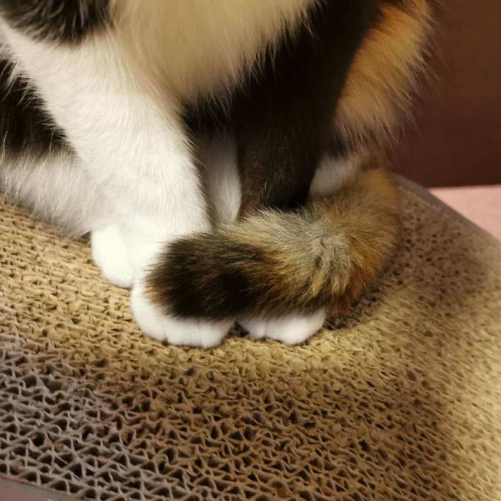 032d506e aad3 45e7 93ca e257708e2767 1674450827427