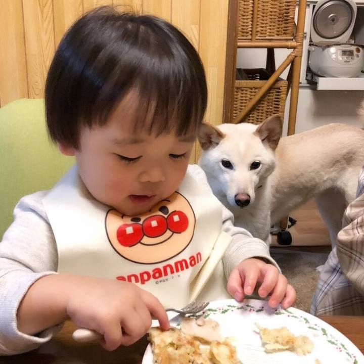 032d6075 342a 41a4 be82 345ff675acb6 1550384585861