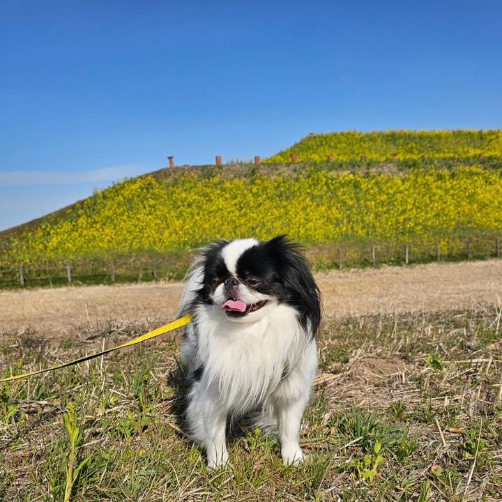 032d990f 2e58 4da7 b3fa 7cab7e493b07 1710155211809