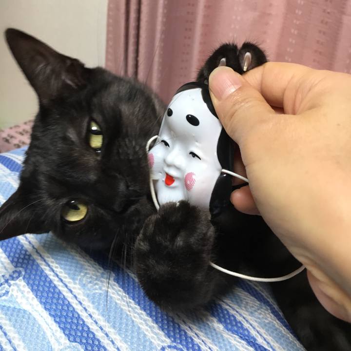 032dbf51 e041 4279 aac2 42c4bc2bfae2 1549154497393