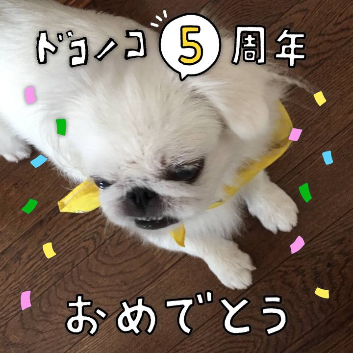 032ded11 ba8c 4dda a36d d8c6e9acb78b 1622890483218