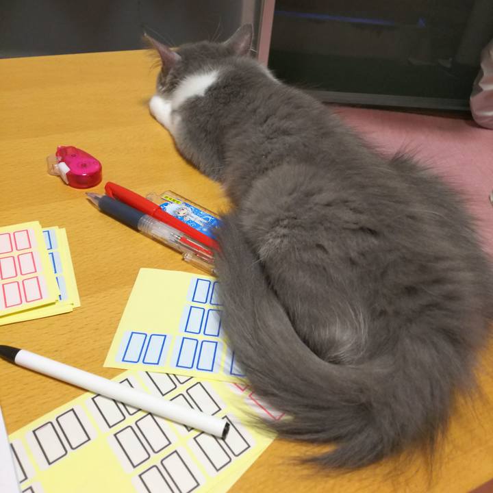 032def2d 407e 4d6f a3ab 41685b817315 1565517781354