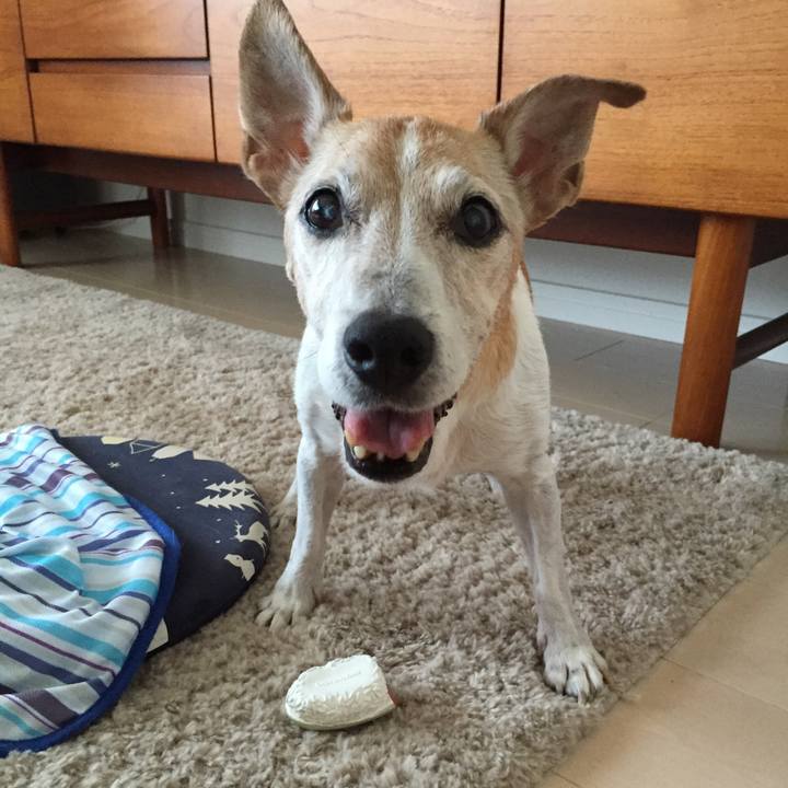 032dfdb6 bb2f 4d86 9a7c 67c566d468cf 1565793513891