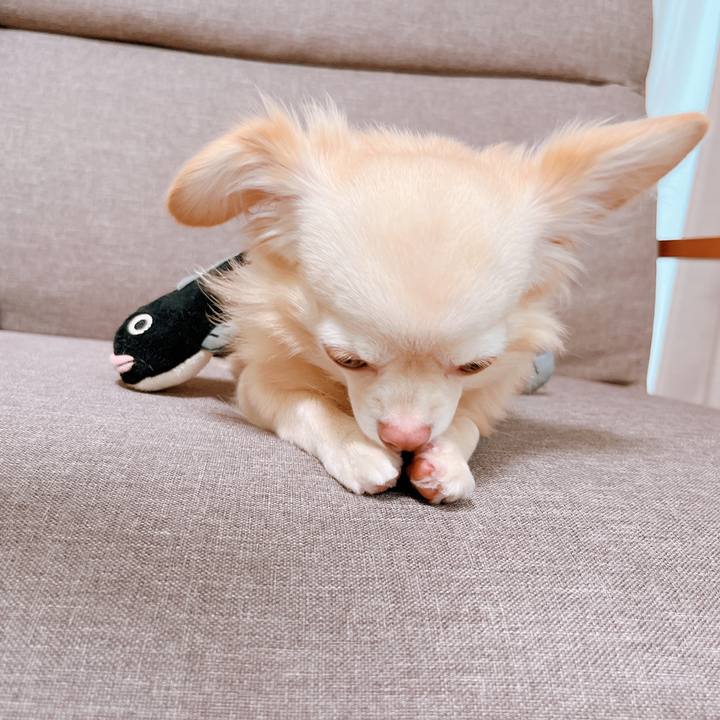 032e75a1 ca59 404d 82c7 aa327cc95a66 1661220957957