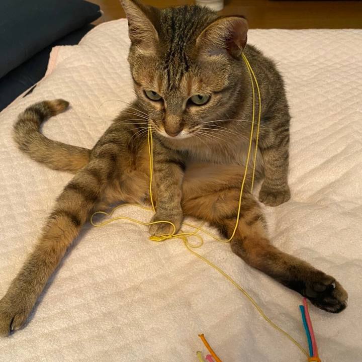 032eaff1 6394 41c5 b4a7 28a805f93d68 1587255867850