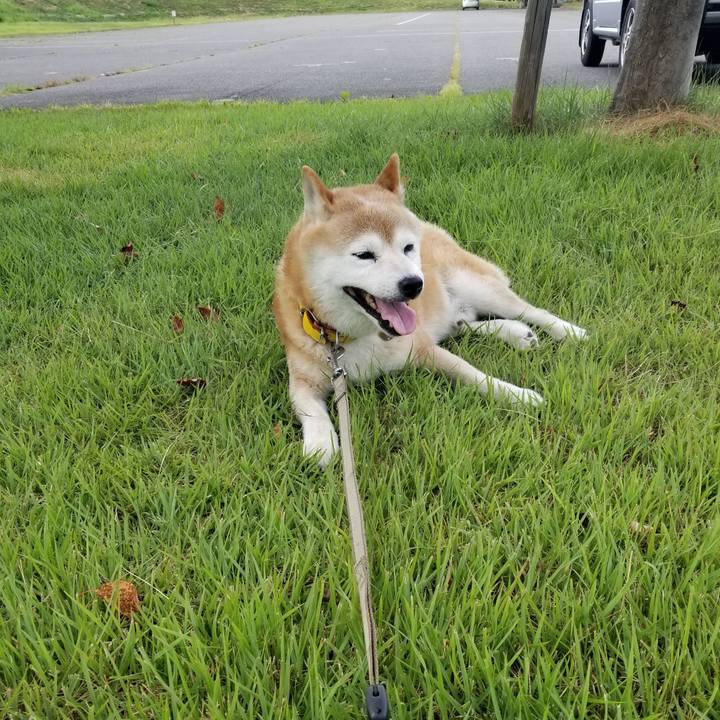 032ec860 9781 41e5 9b92 61f6b35e3a12 1692085571986