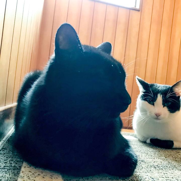 032ed117 371b 4555 8527 23c0a8ac932a 1511186659451