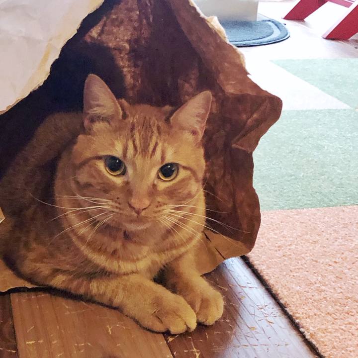 032ee564 7d61 4a80 b822 0bf5b081da88 1747118043090