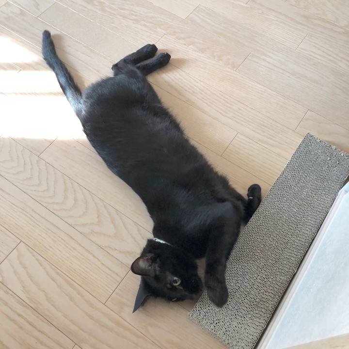 032eef45 504e 4ea1 ac80 637bd349b831 1596976737278