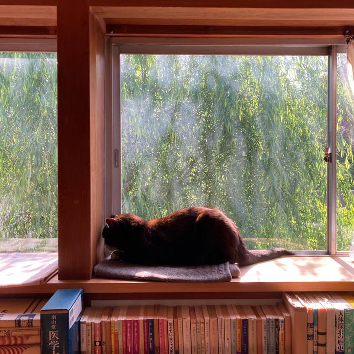 032f0856 62bb 41e6 816f f25e769078bb 1619785220429