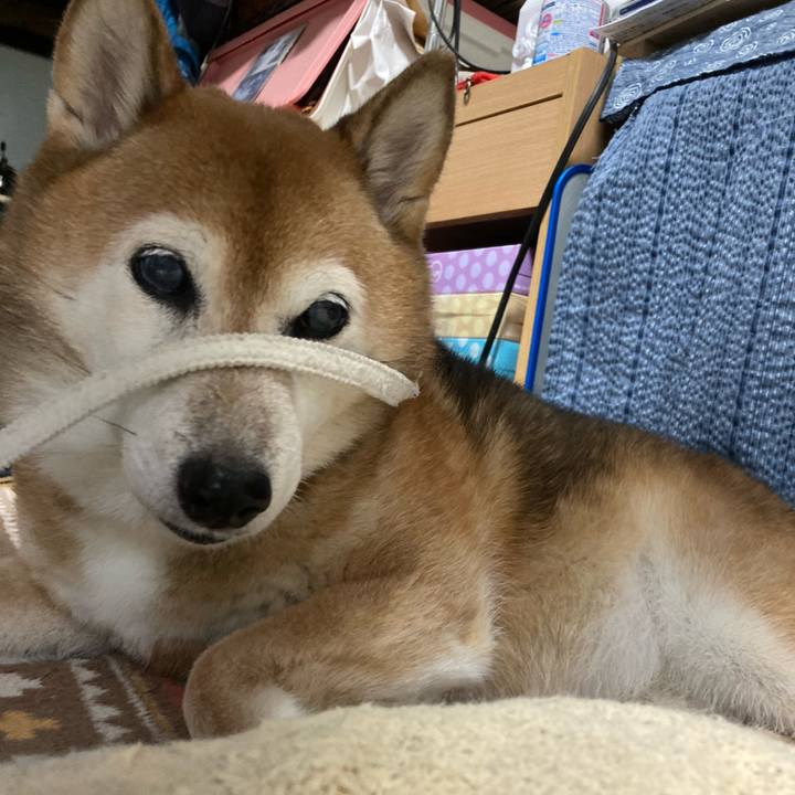 032f1afe 9732 4257 96ec 5bd3c86fe199 1729211022738