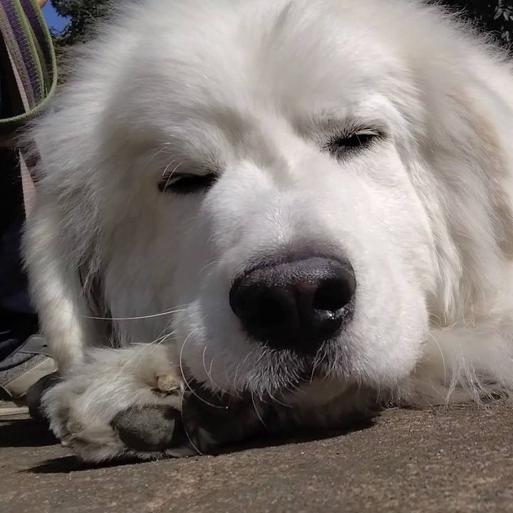 032f44d2 2d9d 41f6 953b 8612fbd7b127 1677804098172