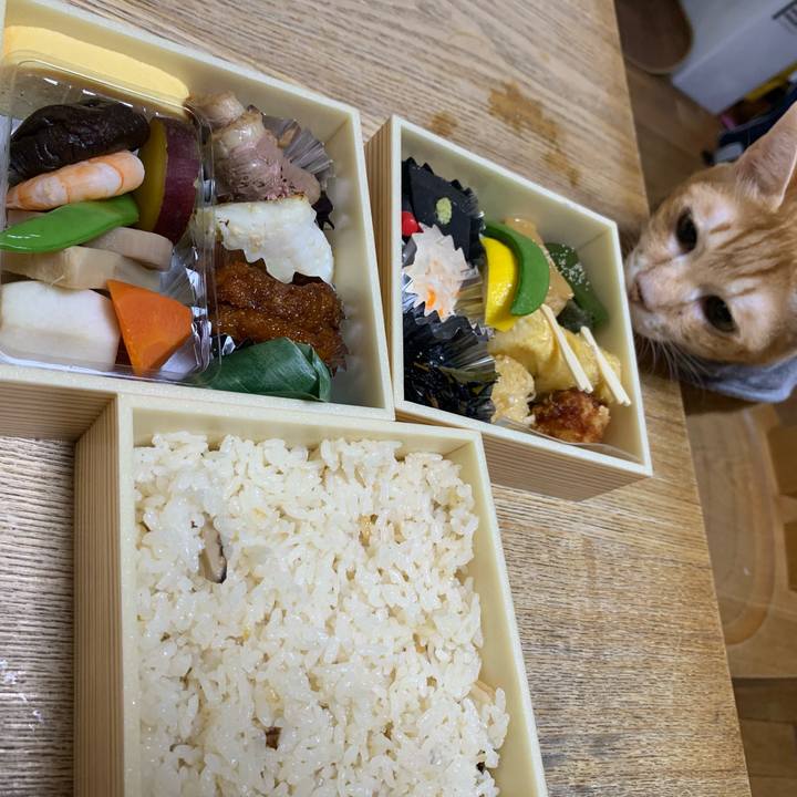 032f6c64 d01c 4c4a 9d9d 9d24bb25c8d9 1604722779469