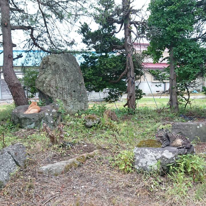 032f9507 d2e1 4b68 9306 b680f96ac8e7 1658135269916