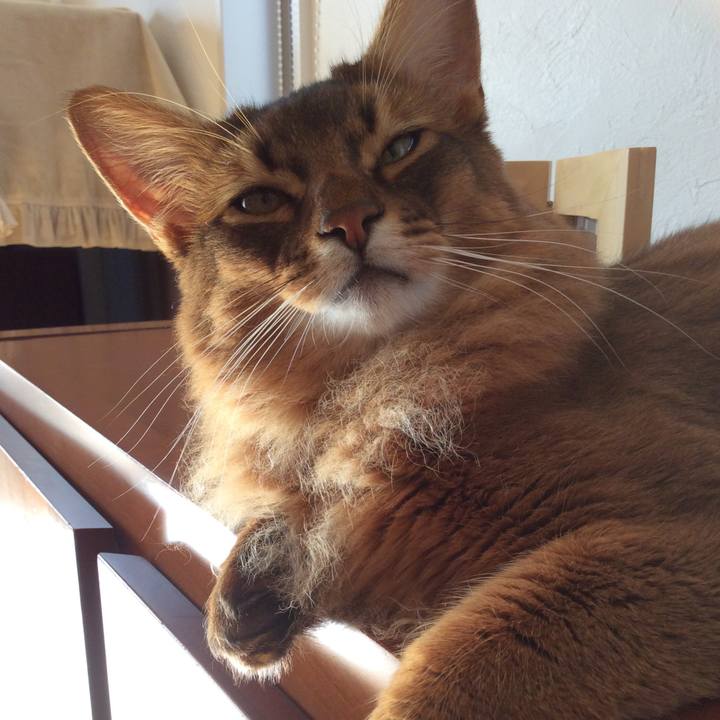 032fe70b 10b2 4ba9 9097 fda815e518f3 1606958176549