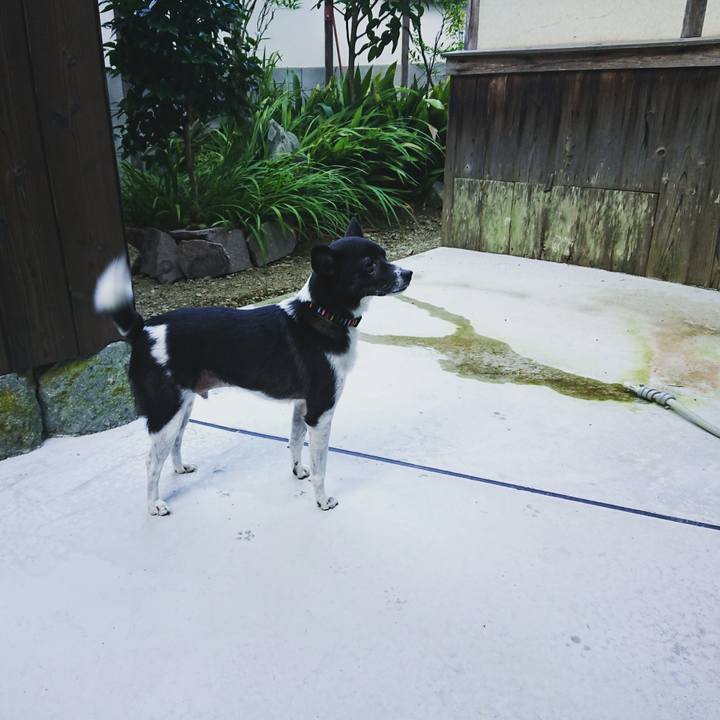 032ff65b be98 4c1f ae2d 9aef137361b8 1597831608127