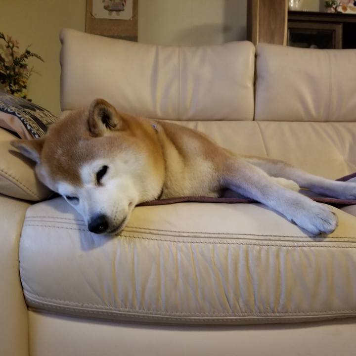 033001c8 0643 4bed 9790 a659fa59b3a6 1649590708573