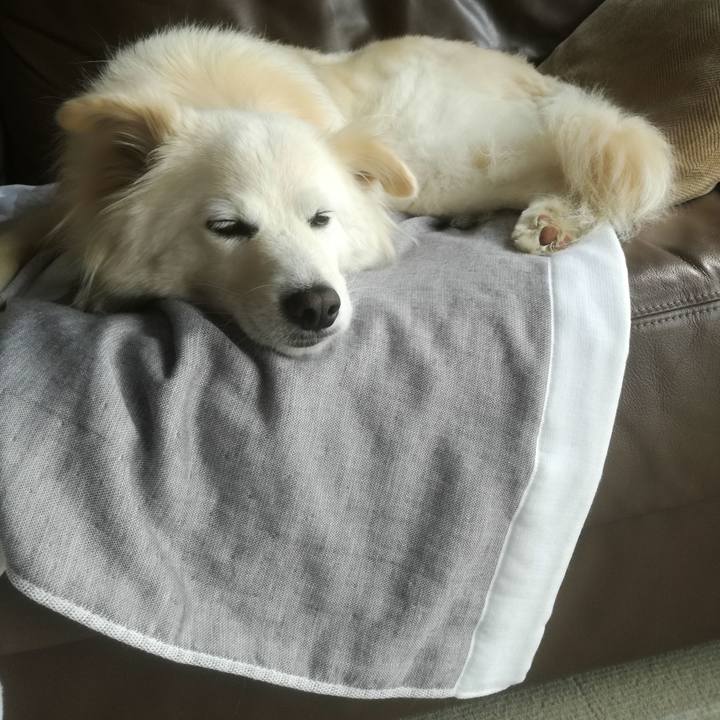 03302292 a04f 4df9 8831 ac4853d62bf2 1525826658826