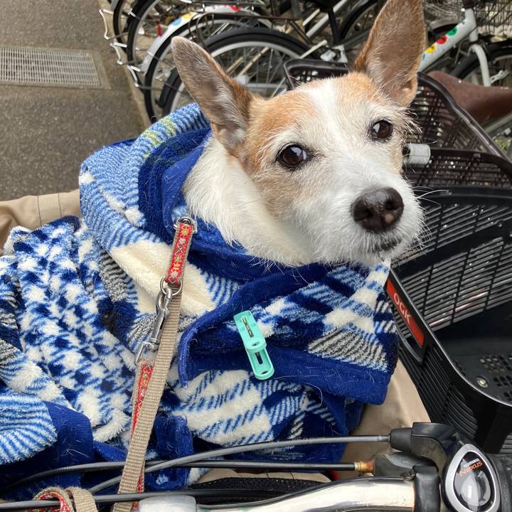 03305eec 5cb4 4ad2 9ddc 2d05439b8651 1742089894795