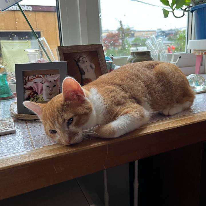 03306db2 63bf 4d5f 97ff d7c778290f69 1665471046173