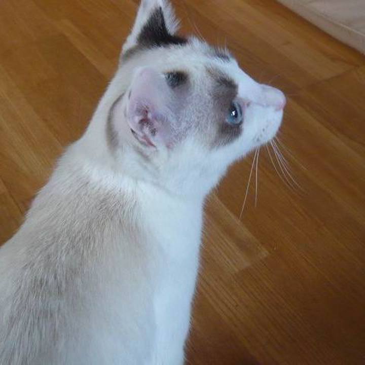 03307451 9545 4fd4 bfb6 66a2f8db81d3 1518094154401