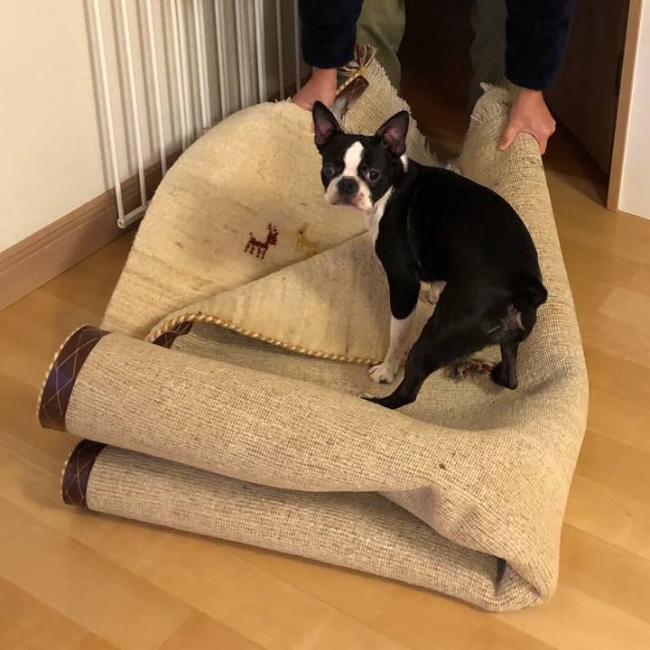 0330c4ba 1c73 4ae5 9221 fcc5723900e8 1516156204562