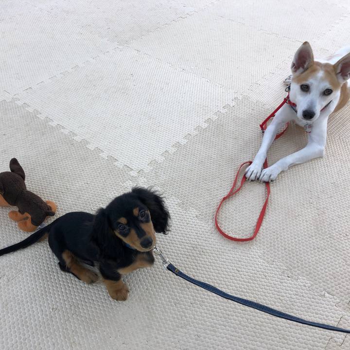 03312116 4e24 4d72 97d7 2a2b3afa1473 1604490266463