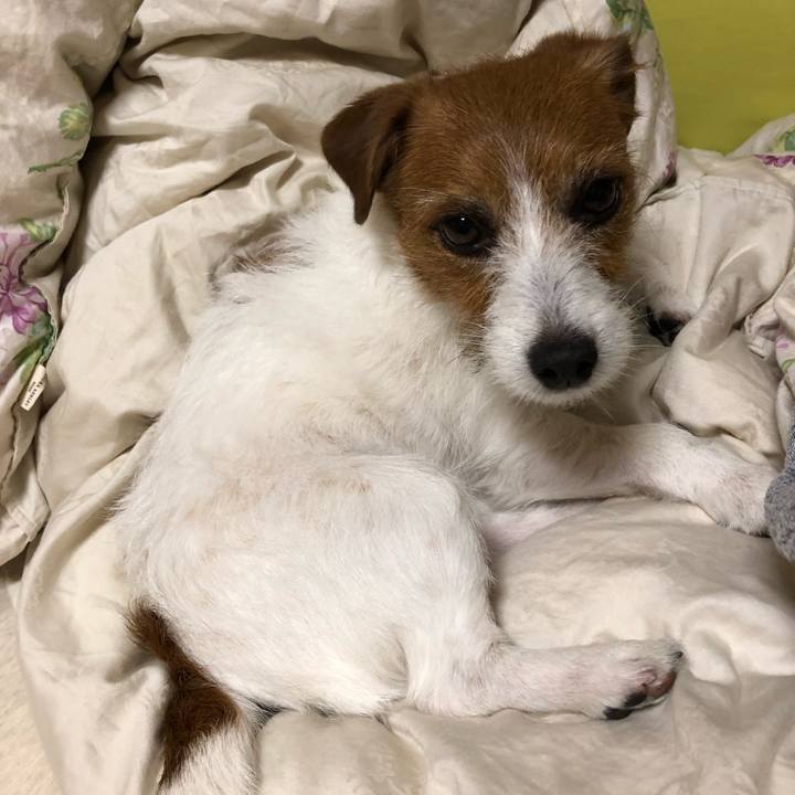 033136f7 7794 429d 868d b8b90dcd0457 1557655816071