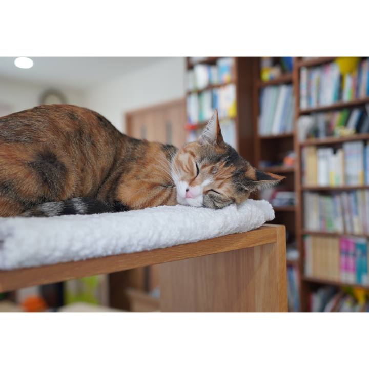 03313afb 9f99 4ae7 ac08 96983e930c57 1611065071885