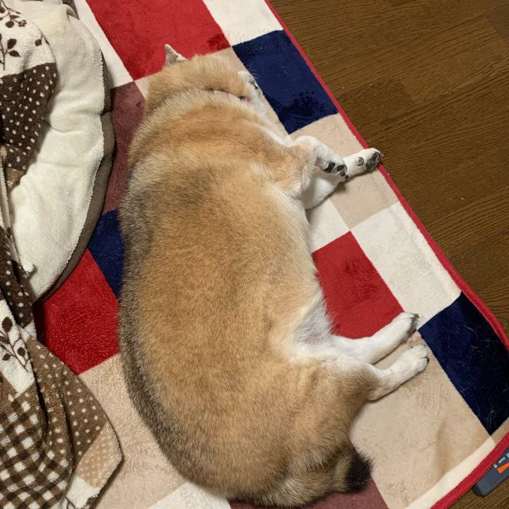 0331437f f392 4a86 8bac 8763362f0fdc 1636792963633