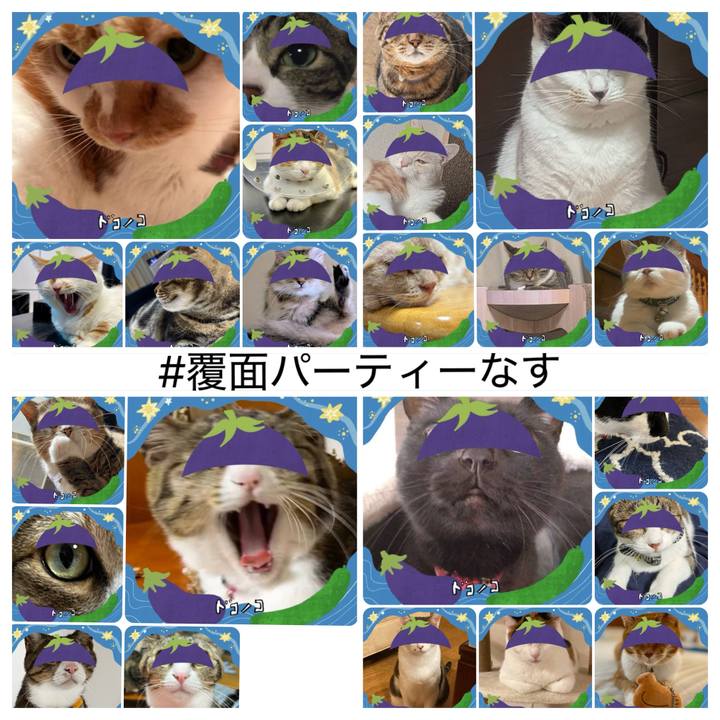 03314b90 f5c4 4735 8a9e 85730c3fc313 1755655637230