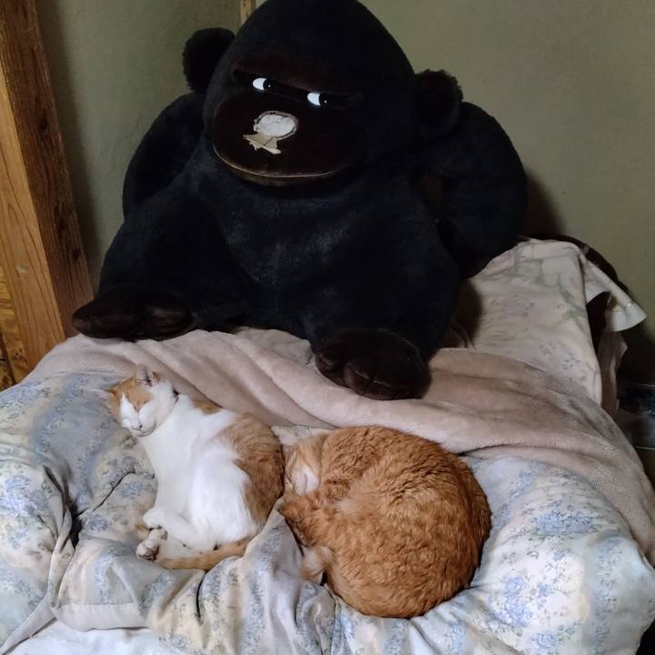 03317331 03a4 4b74 b755 3b11e4b10f17 1744786965184