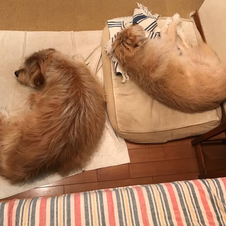 03317421 9119 419b af04 d2bf8d0e0df0 1563149112506