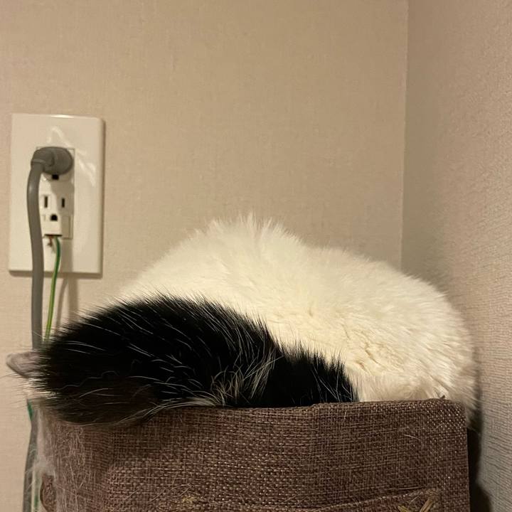 0331a462 4c61 4961 b11f e938691cd178 1743723288376