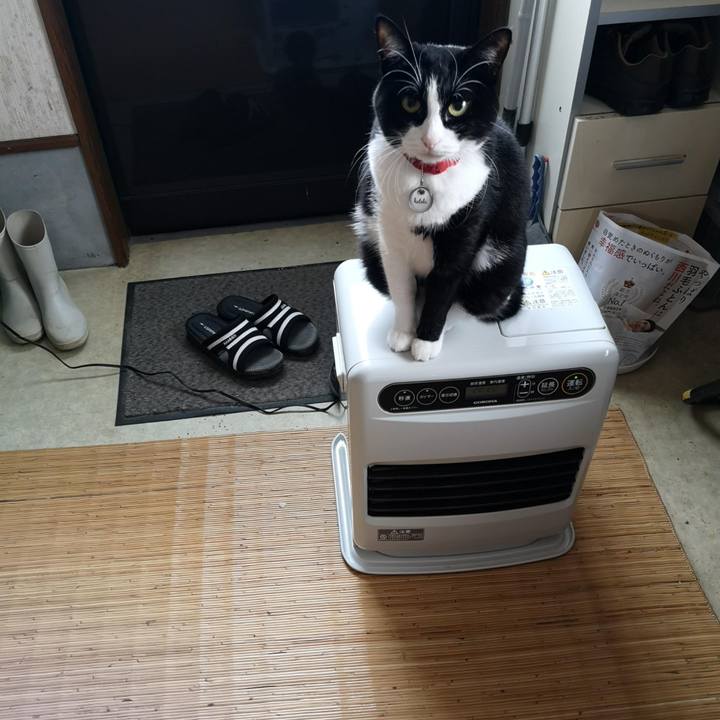 0331b076 5f41 4a61 b595 da116e48c447 1666927938609