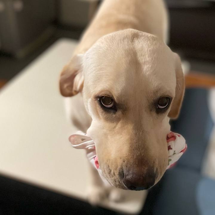 0331cd7d 45a1 4bcc a909 d1cf55fb974b 1644011498698